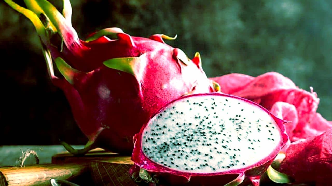 Benefits Of Dragon Fruit: হার্ট থেকে শুরু করে ডায়াবেটিস সব নিয়ন্ত্রণে থাকবে এক ফলেই! জেনে নিন এই গোলাপি ফলের গুণ