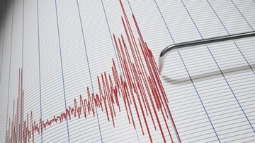 Earthquake: ভোরে ৭.১ মাত্রার ভূমিকম্পে কেঁপে উঠল নিউজিল্যান্ড, সুনামির আশঙ্কায় জারি সতর্কতা