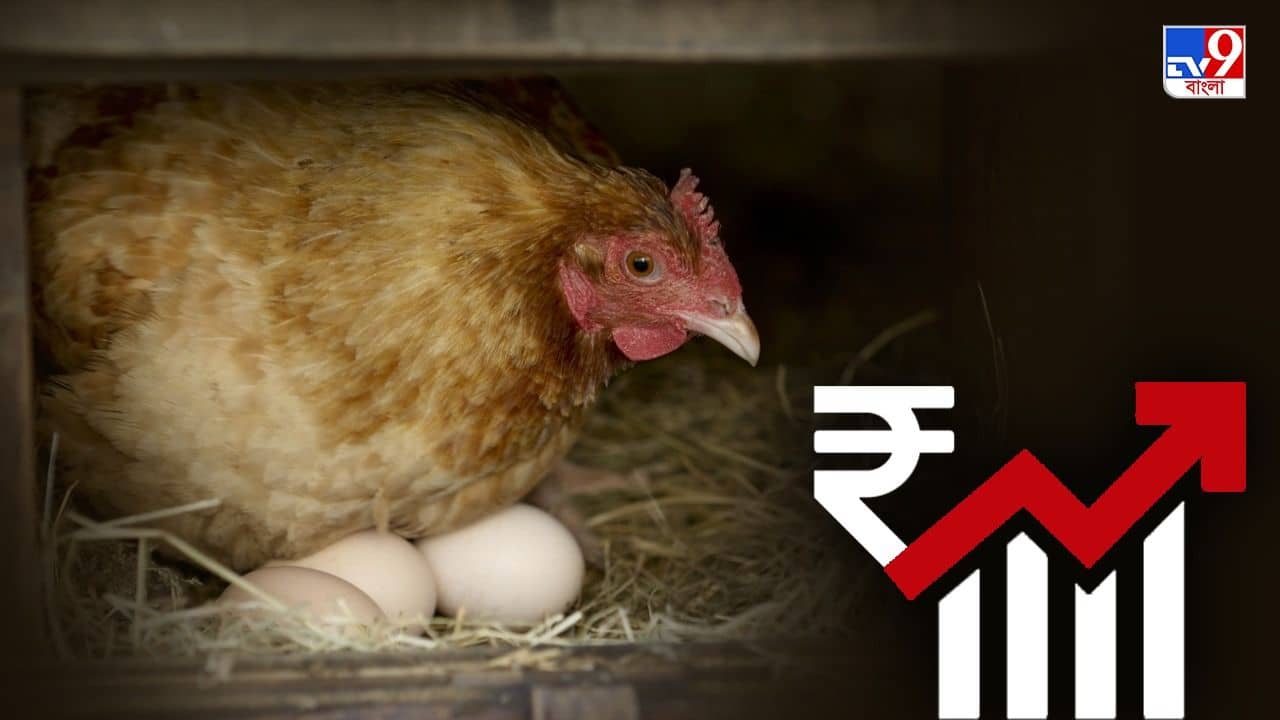 Egg, Chicken Price: ২৫-৩০ টাকায় একটি ডিম, চিকেনের দাম প্রায় হাজারের কোটায়; পাকিস্তানে খাদ্যসংকট চরমে