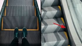 Escalator Brushes: জুতো পালিশ করেন আপনি! কিন্তু চলন্ত সিঁড়িতে ব্রাশ থাকে অন্য এক কারণে... Escalator Brushes: জুতো পালিশ করেন আপনি! কিন্তু চলন্ত সিঁড়িতে ব্রাশ থাকে অন্য এক কারণে...