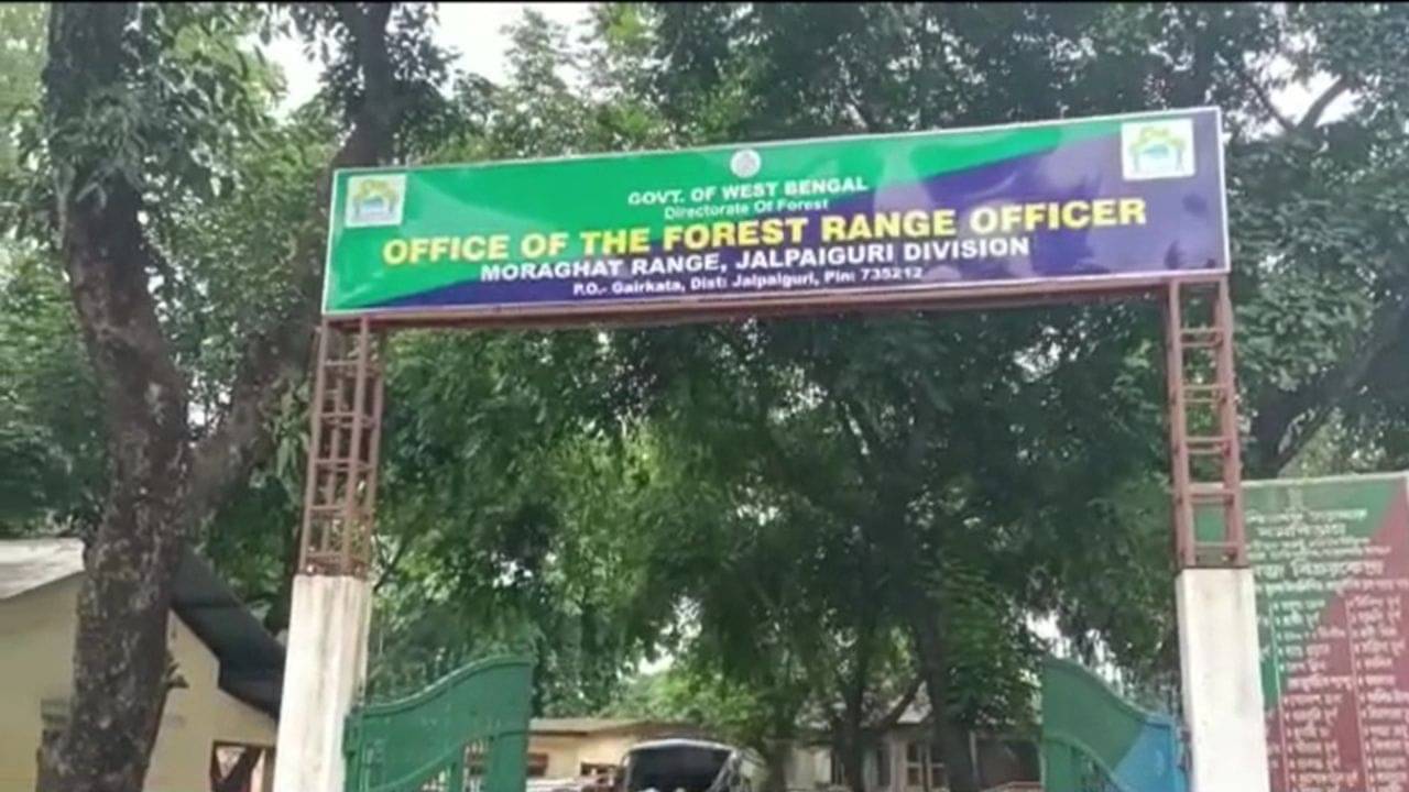 Elephant Attack: খুট্টিমারির জঙ্গলে উদ্ধার নিখোঁজ যুবকের দেহ, হাতির হামলাতেই মৃত্যু?