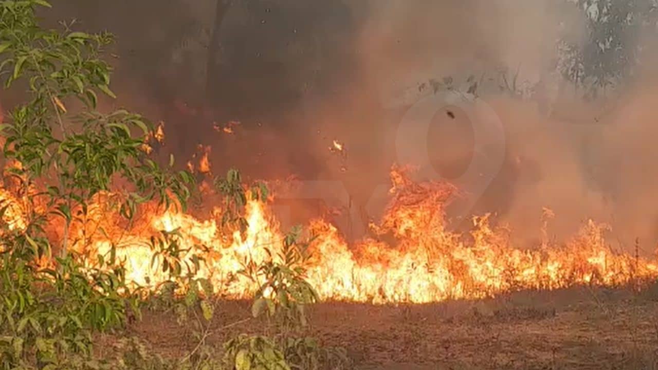 Forest Fire: দাউদাউ করে জ্বলল আগুন, পুড়ে খাক কয়েকশো বিঘা জঙ্গল