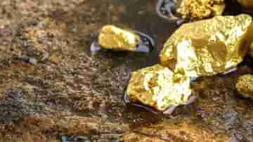 Gold Mines: আরও ধনী হচ্ছে ভারত, ওড়িশার তিন জেলায় মিলল সোনার ভাণ্ডার