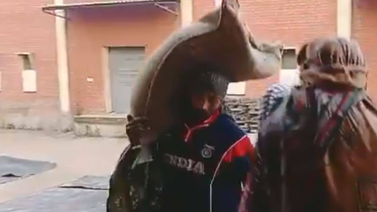 Hockey Player: রাজ্য স্তরের হকি প্লেয়ার এখন মালবাহক, একটা বস্তা তুলে আয় ১.২৫ টাকা!