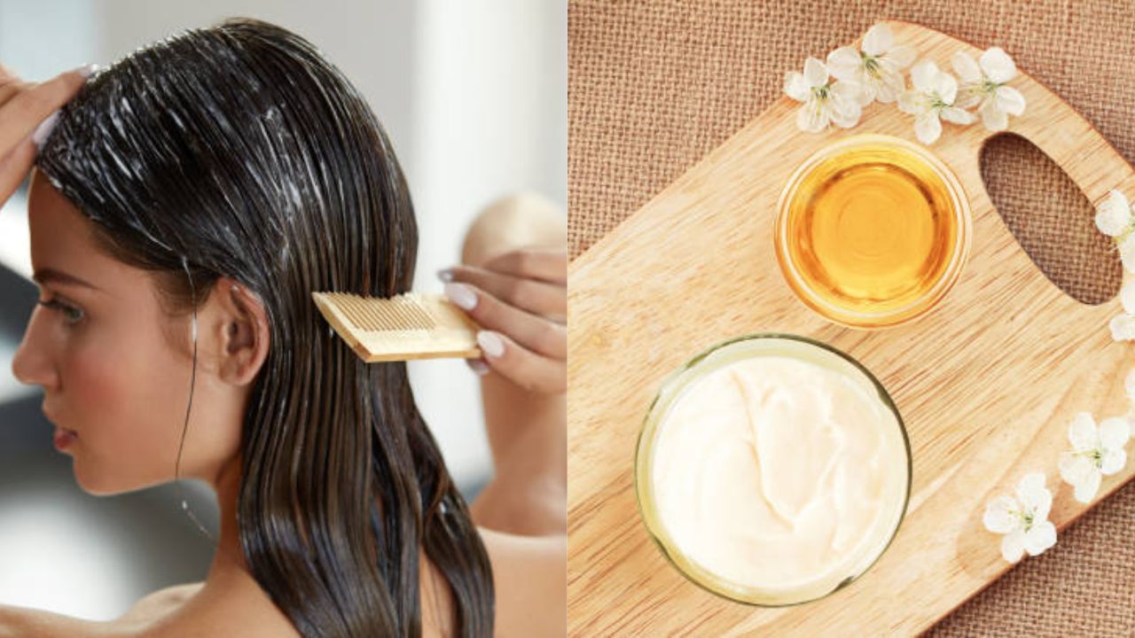 Hair spa at home: সহজ টোটকায় বাড়িতে হেয়ার স্পা ক্রিম বানিয়ে নিন, স্যাঁলোর খরচ বেঁচে যাবে