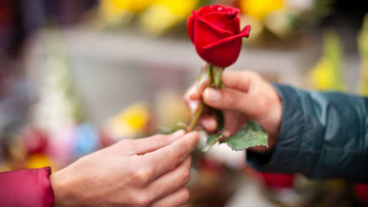 Valentine's Day 2023: ভ্যালেন্টাইন্স ডে'তে দেশি ফুলই যখন ভরসা, প্রেমের মরশুমে কোটি টাকায় বিকোল লাল গোলাপ