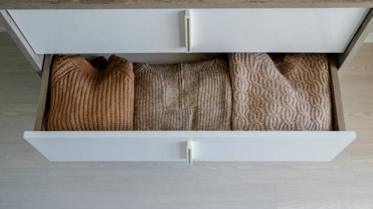 How to store woolen clothes: আলমারিতে তোলার আগে এভাবে যত্ন নিন শীতবস্ত্রের, সোয়েটারের রং একই থাকবে আগামী বছরেও