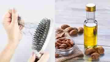 Almond Oil for Hair Fall: ৭ দিনের মধ্যে চুল পড়া বন্ধ করতে চান? এই ৩ উপায়ে ব্যবহার করুন আমন্ডের তেল