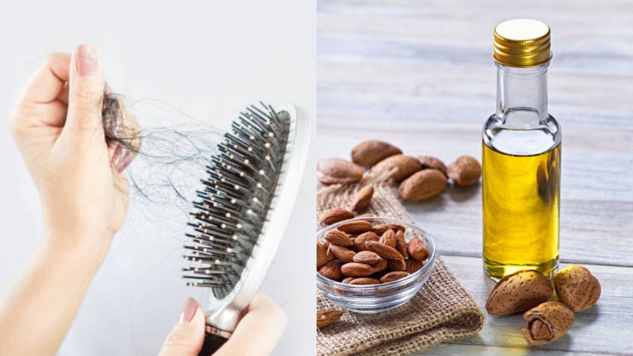 Almond Oil for Hair Fall: ৭ দিনের মধ্যে চুল পড়া বন্ধ করতে চান? এই ৩ উপায়ে ব্যবহার করুন আমন্ডের তেল