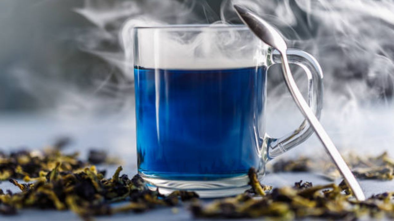 Blue Tea: ৬৫০০ টাকা কিলো দরে বিকোচ্ছে 'ব্লু টি', কোনও খরচ ছাড়াই এই চা বাড়িতেও বানাতে পারেন