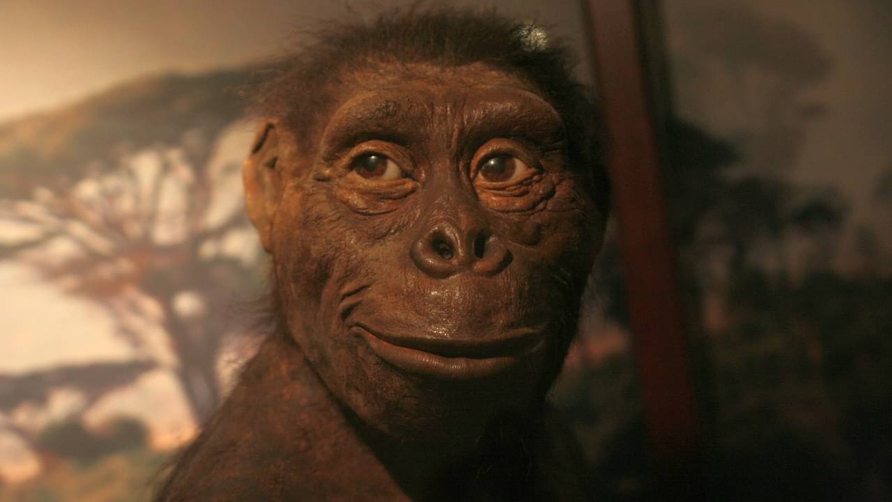 Primitive Human: আদিম মানুষ আফ্রিকা থেকে কীভাবে এশিয়া-ইউরোপে গেল? বিশ্বের প্রথম মানুষ কে? সব প্রশ্নের উত্তর জানুন