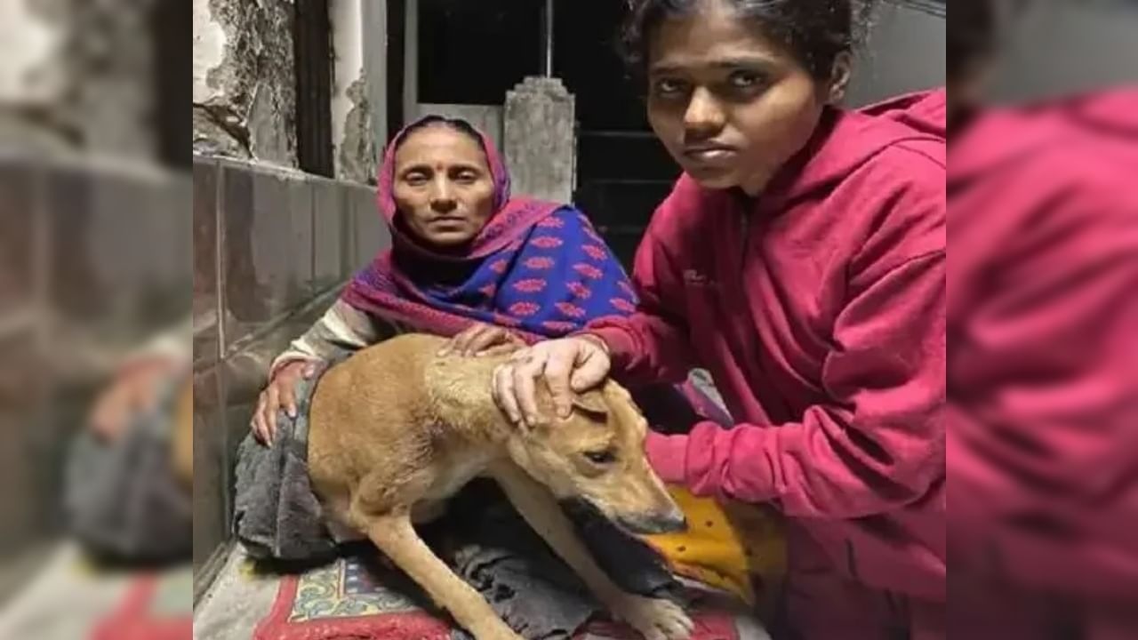 Kanpur Dog Murder: কুকুরের মৃতদেহ কবর থেকে তুলে ফের ময়নাতদন্ত, ক্রমশ জটিল হত্যা রহস্য