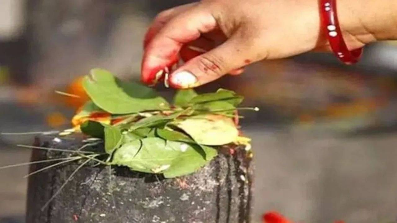Maha Shivratri 2023: মহাশিবরাত্রির পুজোয় মহাদেবকে তুলসী পাতা কেন দেওয়া হয় না? জানুন