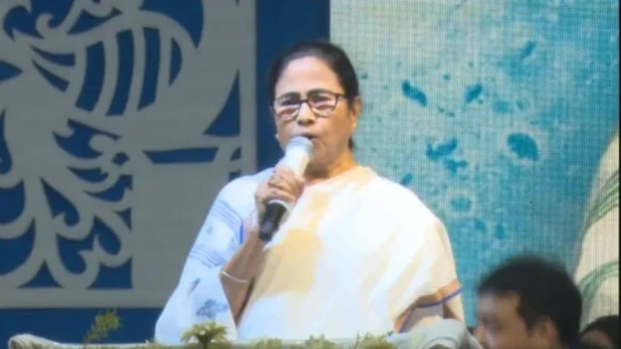 Mamata Banerjee On Share Market: সরকারটা কালই পড়ে যাচ্ছিল, কয়েকটা ফোন করে সামলায়, বর্ধমানের সভায় কী বললেন মমতা?