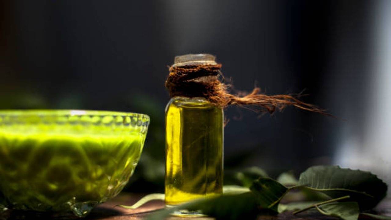 Neem Oil For Hair: পাতা বেটে নয় তেল বানিয়েই মাথায় মাখুন টানা এক সপ্তাহ, খুশকি পালাবে ৭ দিনেই