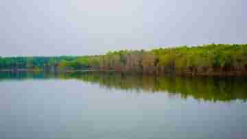 Sundarban in Purulia: পলাশ ভুলে পর্যটকদের ভিড় জমছে পুরুলিয়ার সুন্দরবনে, এই বসন্তে আপনিও যাবেন নাকি সেখানে?