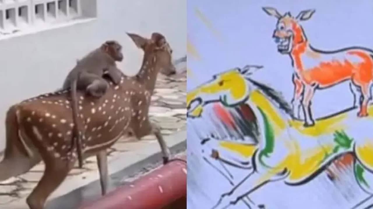 Viral Video: হরিণের পিঠে চড়ে ঘুরতে বেরোল বাঁদর, নেটিজ়েনরা বলল, মজনু ভাই ওদের অনুপ্রেরণা