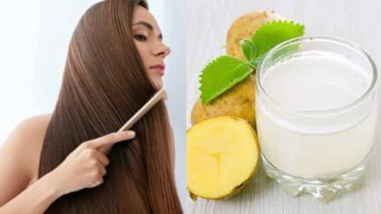 Hair Care Tips: পুষ্টির অভাবে চুল ঝরে টাক পড়ছে মাথায়? কম খরচে এই ভেষজ রসে পাবেন ঘন-কালো-লম্বা চুল