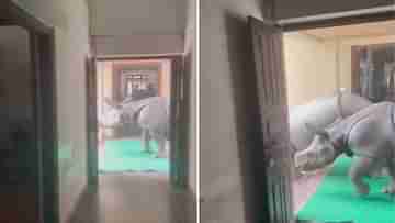 Viral Video: সাতসকালে বাড়ির ভিতরে ঢুকে পড়েছে গন্ডার, তারপর...