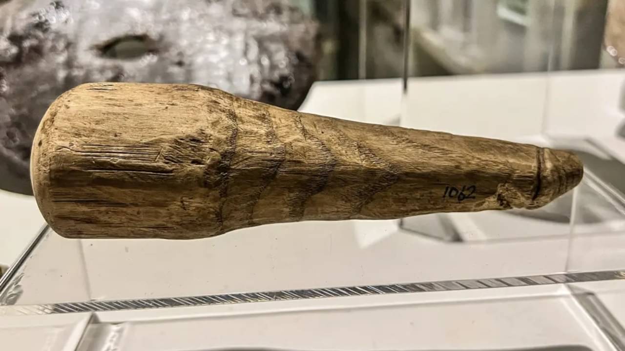 Roman dildo: সেলাইয়ের যন্ত্র হয়ে গেল সেক্সটয়, ২০০০ বছর আগেও ছিল ডিলডো-র ব্যবহার!