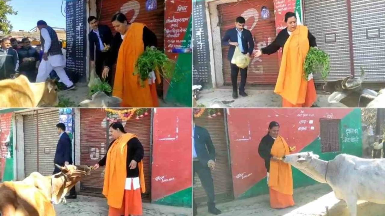 Uma Bharti ‘মদ নয় দুধ খান মদের দোকানের সামনে গরু বেঁধে প্রচার প্রাক্তন মুখ্যমন্ত্রীর 7407