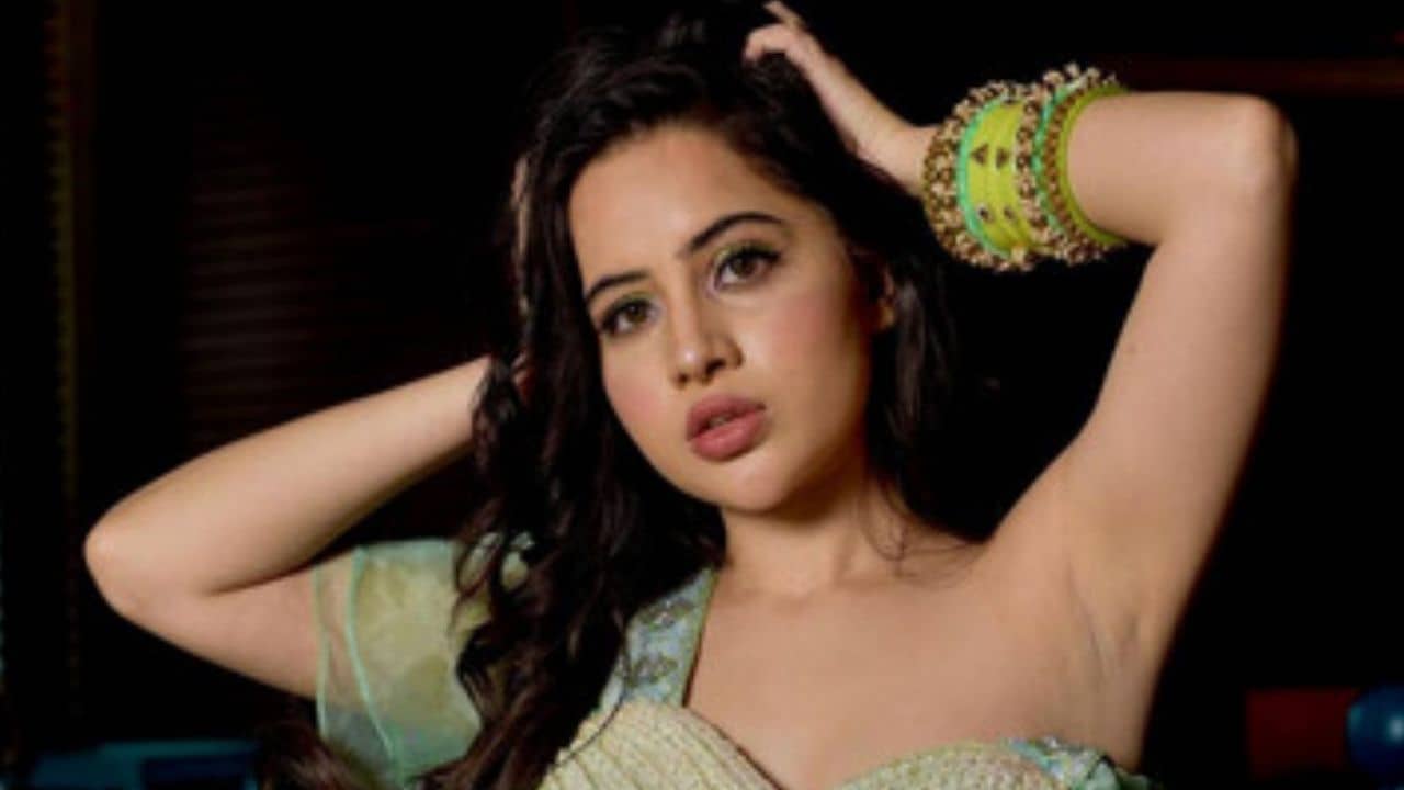 Urfi Javed: মদ্যপ চালক, অ্যাপ ক্যাব বুক করে এ কী দুর্ভোগ সইতে হল উরফিকে!