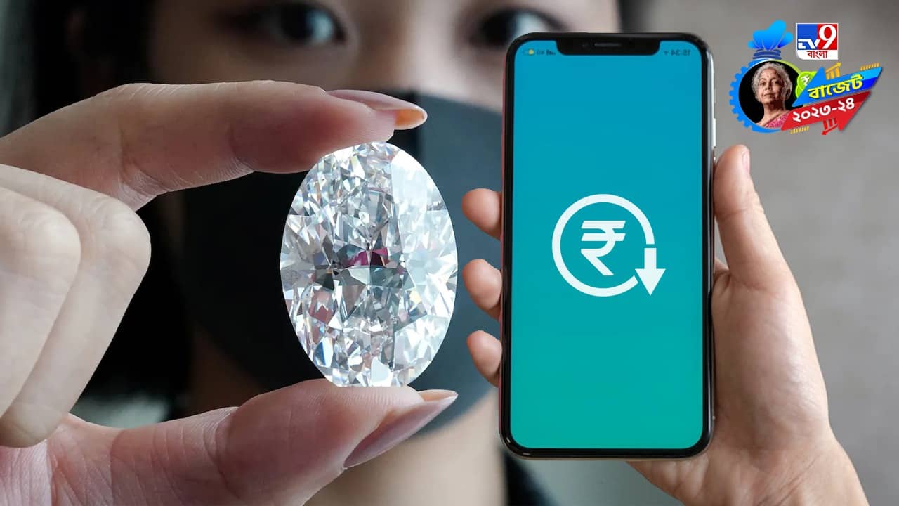 Budget 2023: মোবাইল ফোন থেকে হিরে, এবারের বাজেটে দাম কমল কী কী পণ্যের, দেখে নিন একনজরে