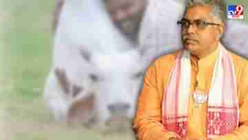 Dilip Ghosh: গরু আলিঙ্গন দিবস নিয়ে বিজ্ঞপ্তি প্রত্যাহারের পর মুখ খুললেন দিলীপ ঘোষ