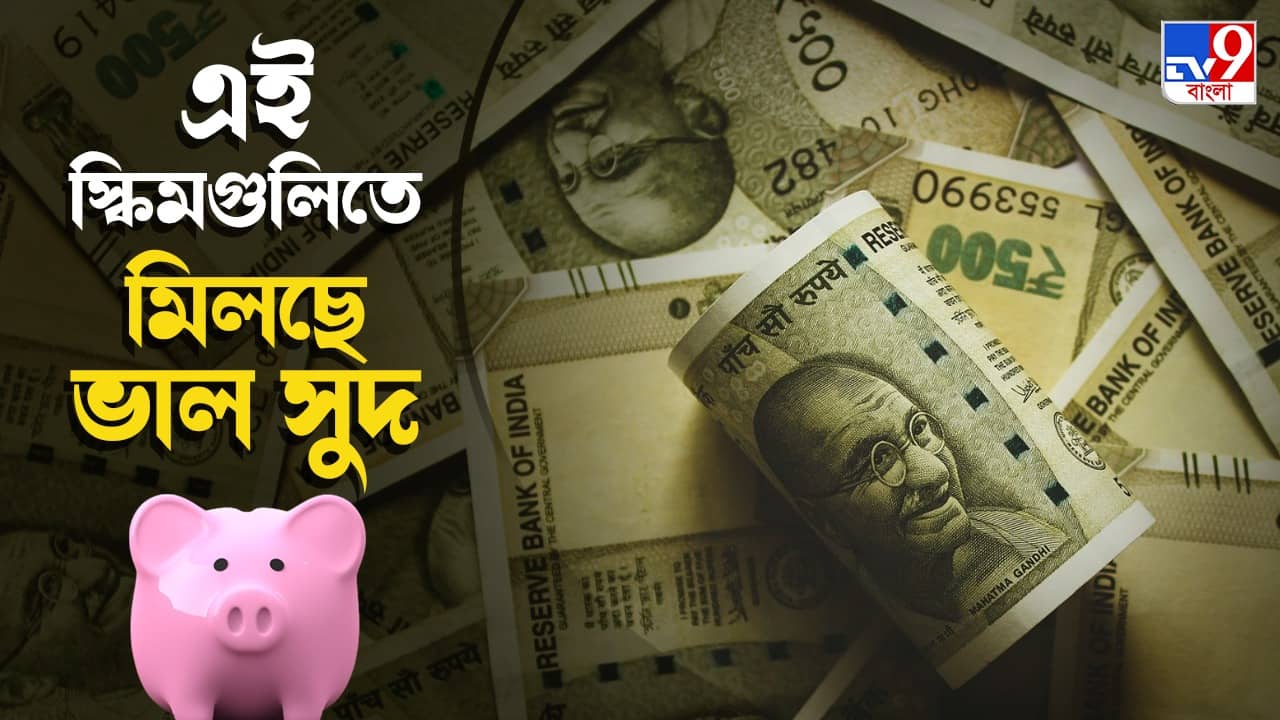 Fixed Income Schemes: শেয়ার বাজারে বিনিয়োগে হচ্ছে না লক্ষ্মীলাভ? এই স্কিমগুলিতে বিনিয়োগে মিলবে ভাল রিটার্ন