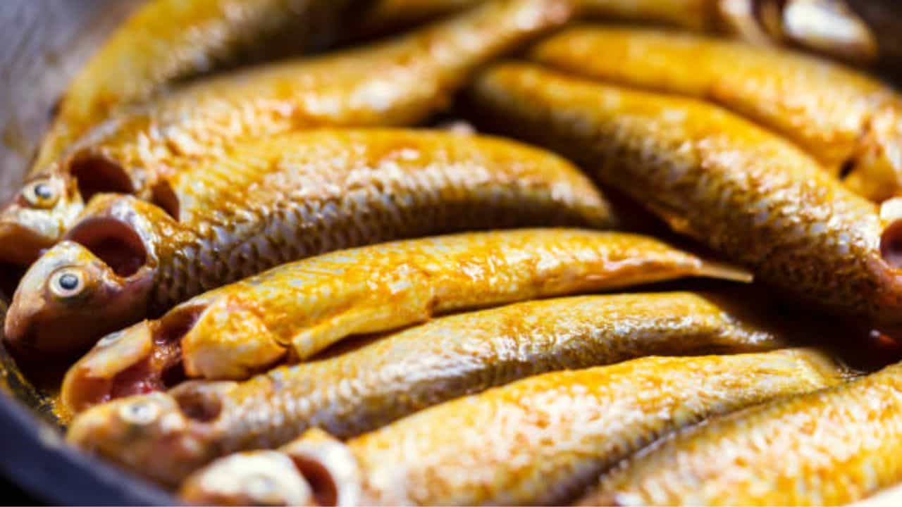 Bengali Fish: দুপুরের ভাতের সঙ্গে রুই, কাতলা, মাগুর খেয়েও ওজন কমাতে পারেন, কীভাবে জানেন? Bengali Fish: দুপুরের ভাতের সঙ্গে রুই, কাতলা, মাগুর খেয়েও ওজন কমাতে পারেন, কীভাবে জানেন?