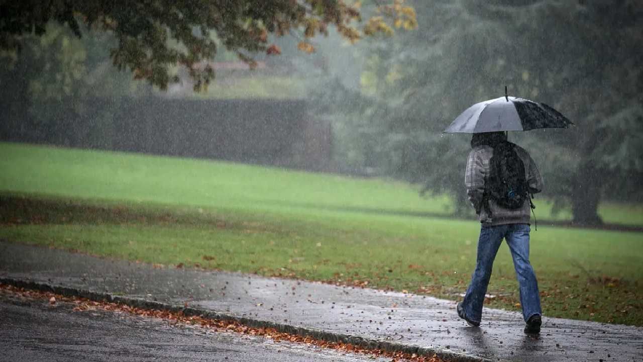 Weather Update: নিম্নচাপ অক্ষরেখার জের, উত্তর ও দক্ষিণবঙ্গের একাধিক জেলায় বৃষ্টির সম্ভাবনা