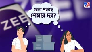 Mutual Fund: মিউচুয়াল ফান্ডে কখন বিনিয়োগ করলে সবথেকে বেশি লাভ ঘরে তুলতে পারবেন, জানুন সহজ ফর্মুলা