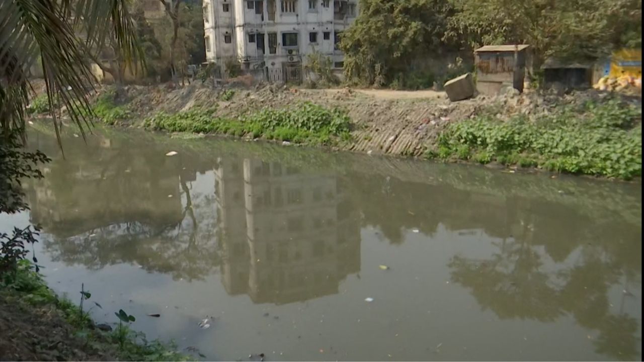 Adi Ganga Restoration Work: আদি গঙ্গা সংস্কারে চূড়ান্ত সময়সীমা বেঁধে দিল জাতীয় পরিবেশ আদালত