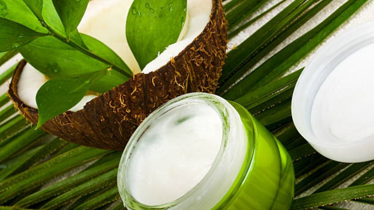 Coconut Oil: বসন্তের আবহে কীভাবে নারকেল তেল ব্যবহার করবেন? রইল টিপস 