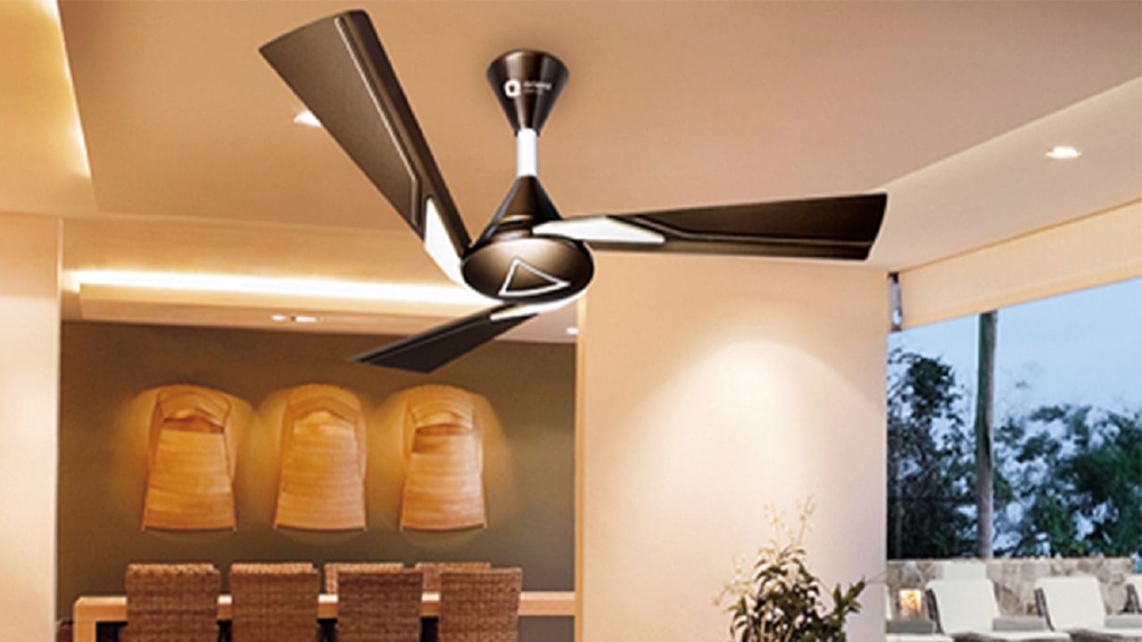Best Ceiling Fan: গরমের আগেই কিনে রাখুন দুর্দান্ত লুকের কিছু সিলিং ফ্যান, দামও বেশ সস্তা Best Ceiling Fan: গরমের আগেই কিনে রাখুন দুর্দান্ত লুকের কিছু সিলিং ফ্যান, দামও বেশ সস্তা