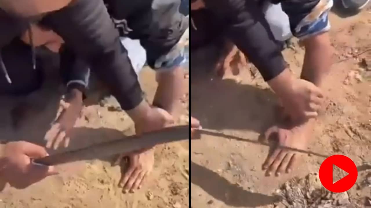 Horrific Incident: পঞ্জাবে তালিবানি রাজত্ব? প্রকাশ্যে আঙুল কাটলেন দুষ্কৃতীরা, ভয়াবহ ভিডিয়ো ভাইরাল