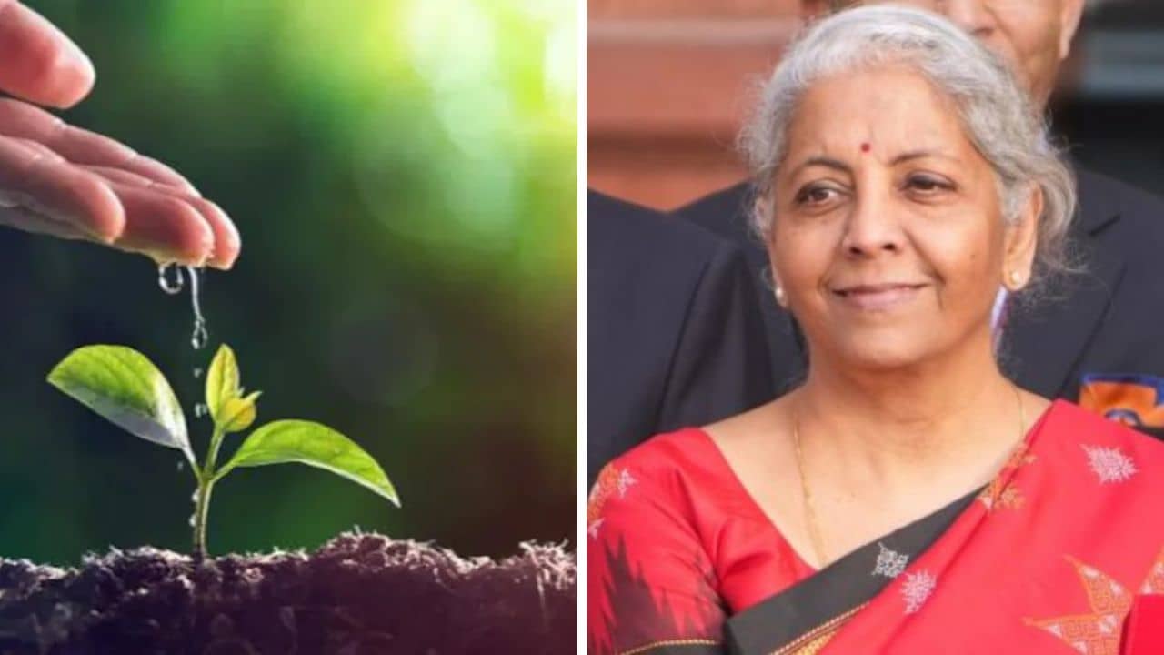 Union Budget 2023: কার্বন নিঃসরণ শূন্য করার লক্ষ্যে কী কী ঘোষণা করলেন অর্থমন্ত্রী?