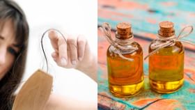 Ayurvedic Oil for Hair Fall: শীত গেলেও খুশকি, চুল পড়ার সমস্যা পিছু ছাড়ছে না? স্নানের আগে রোজ মাখুন জোয়ানের তেল Ayurvedic Oil for Hair Fall: শীত গেলেও খুশকি, চুল পড়ার সমস্যা পিছু ছাড়ছে না? স্নানের আগে রোজ মাখুন জোয়ানের তেল