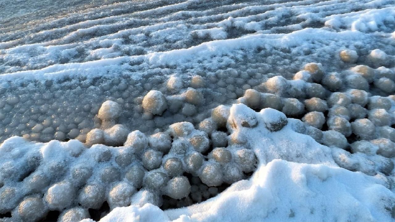 Ice Eggs: সমুদ্রে ভাসছে 'বরফের ডিম', কীভাবে তৈরি হয় জানলে অবাক হবেন আপনি