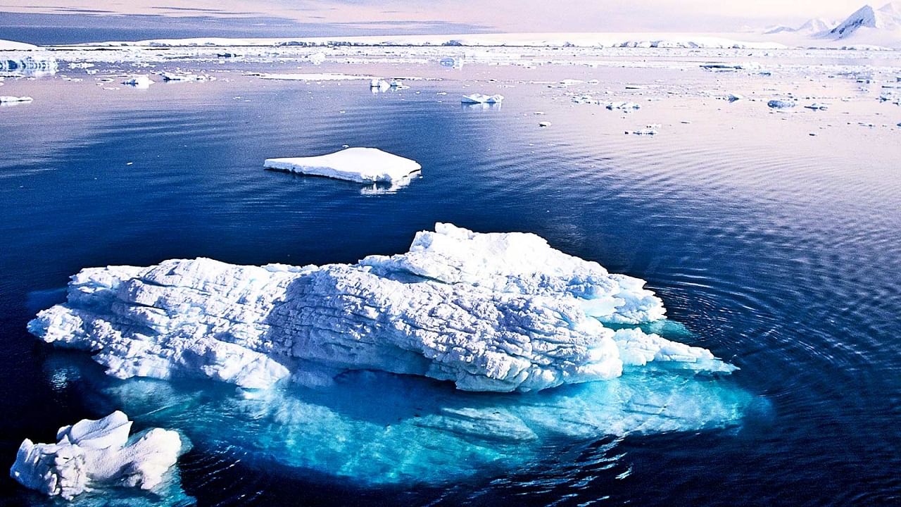 Antarctica Ice Melting: প্রতিদিন প্রায় 20 বর্গ কিমি বরফ গলছে অ্যান্টার্কটিকায়, বড়সড় বিপদের আশঙ্কা ভারতেও