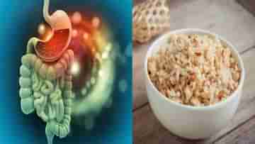 Gut Health: গ্যাস, পেট ফাঁপা, কোষ্ঠকাঠিন্য কিছুতেই পিছু ছাড়ে না? সুস্থ থাকতে আস্থা রাখুন আয়ুর্বেদে