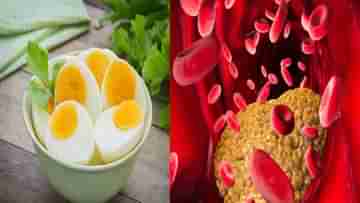 Health Benefits of Eating Eggs:  পুষ্টিবিদের পরামর্শ মেনে এইভাবে ডিম খান, কোলেস্টেরল-ডায়াবেটিস থাকবে নিয়ন্ত্রণে