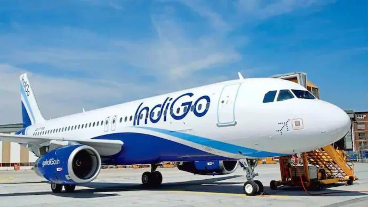 Indigo Flight: মাঝ আকাশে হঠাৎ বিপত্তি, পাকিস্তানে জরুরি অবতরণ করেও বাঁচানো গেল না বিদেশি যাত্রীকে