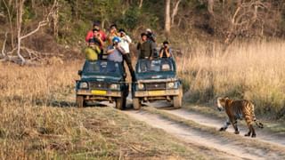 Short Trip in Purulia: তিন দিক জলাধার, মাঝে মাঝে সবুজ বনানী! দোলের ছুটিতে যাবেন নাকি পুরুলিয়ার এই ড্যামে?