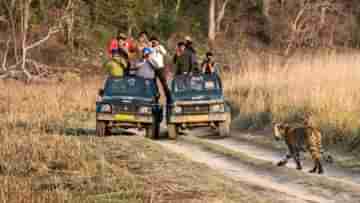 Jungle Safari: গন্ডারের তাড়ায় উল্টে যায় পর্যটক বোঝাই জিপ, জঙ্গল সাফারিতে কোন নিয়ম মানলে এড়ানো যাবে দুর্ঘটনা?