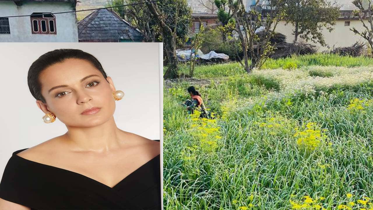 Kangana Ranaut: দিনে ৭-৮ ঘণ্টা মাঠে চাষ করেন কঙ্গনার মা, কেন তাঁর এত অভাব?
