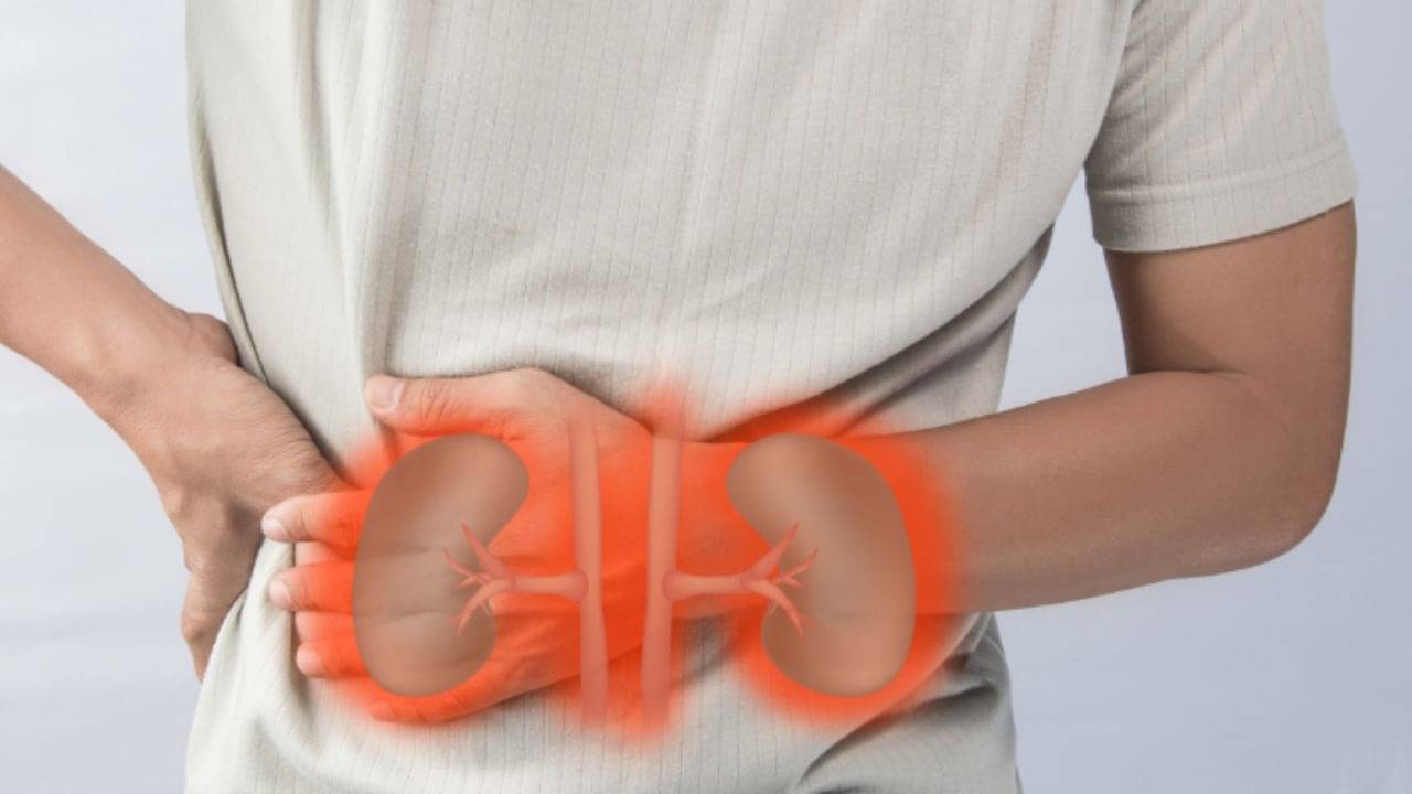 Kidney Cancer Symptoms: প্রস্রাবের সঙ্গে রক্ত  মানেই কি কিডনির ক্যানসার? যা বলছেন বিশেষজ্ঞরা