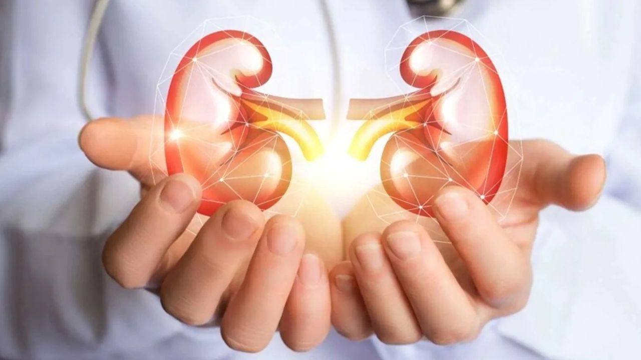 Kidney Function:  আপনার কিডনি কি দুর্বল? ওষুধ ছাড়াই ঘরোয়া উপায়ে বাড়িয়ে নিন কিডনির কর্মক্ষমতা
