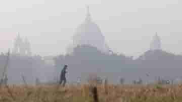 Weather News: ভ্যালেন্টাইনস ডের আগেই কি পাততাড়ি গোটাবে শীত? জানিয়ে দিল হাওয়া অফিস