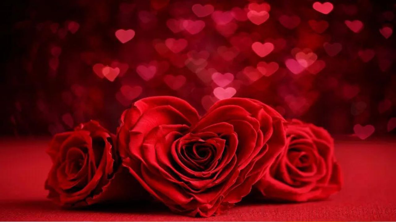 Rose Day 2023: কালই Rose Day! কোন রঙের গোলাপ কোন রাশির জন্য পারফেক্ট, সঙ্গীকে দেওয়ার আগে জেনে নিন